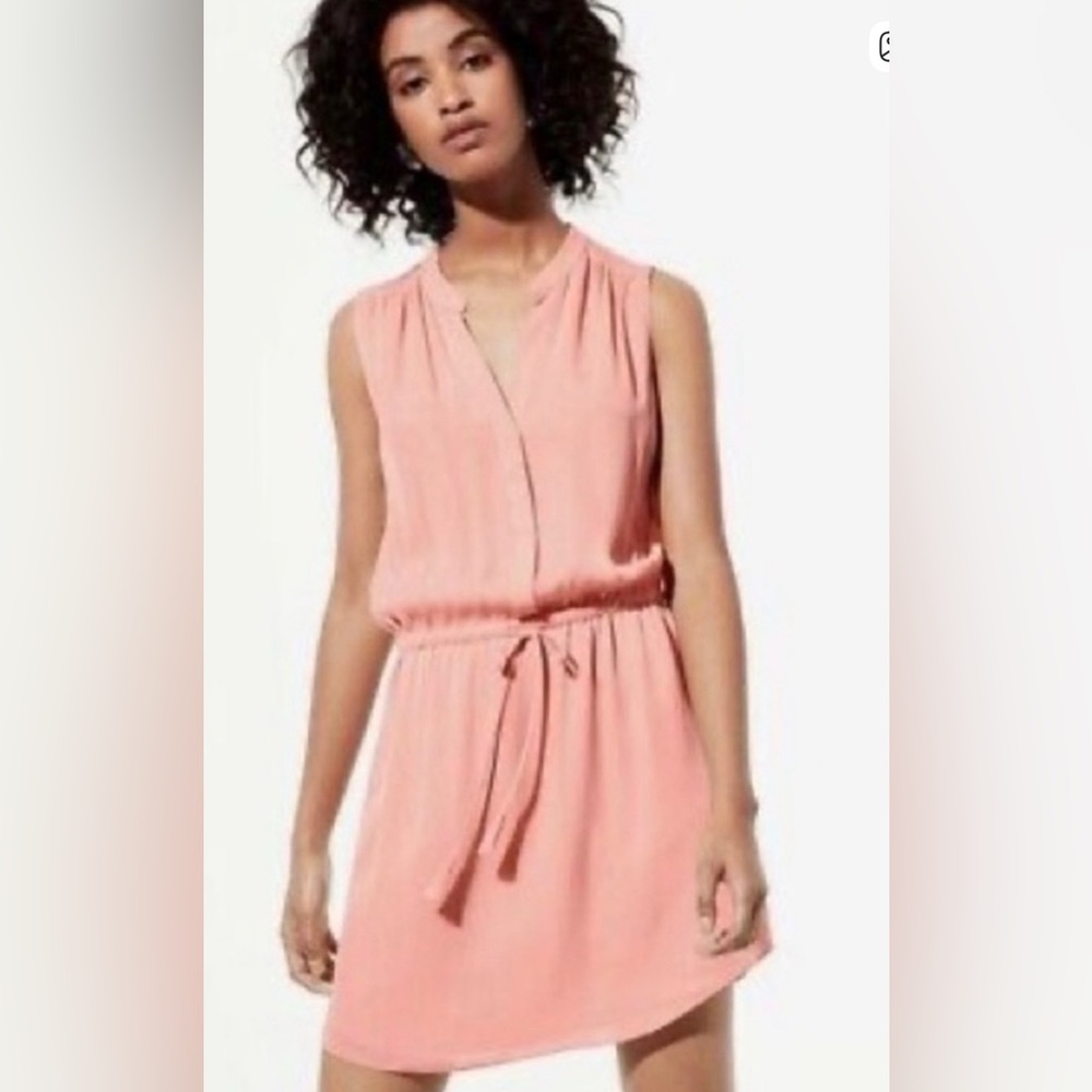 Aritzia Babaton Benedict Dress 100% Silk